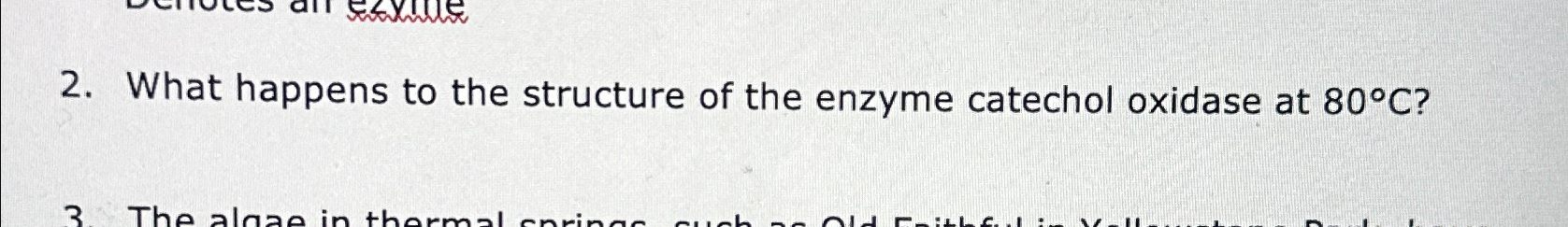 Solved What happens to the structure of the enzyme catechol | Chegg.com