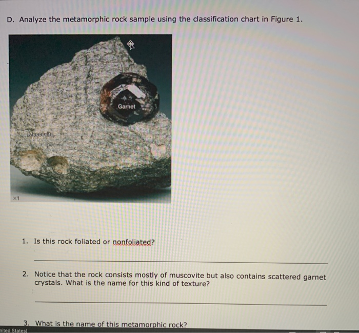 Solved D. Analyze the metamorphic rock sample using the | Chegg.com