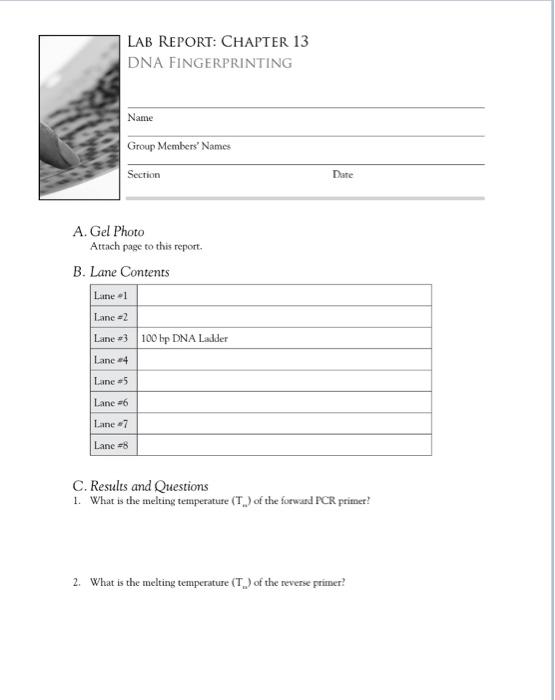 LAB REPORT CHAPTER 13 DNA FINGERPRINTING A. Gd Photo | Chegg.com