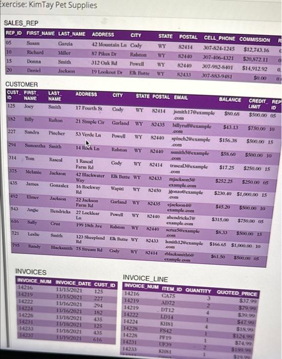 Solved xercise KimTay Pet Supplies SALES_REP CUSTOMER