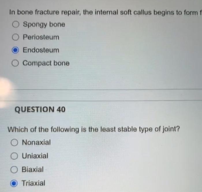 Solved In bone fracture repair, the internal soft callus | Chegg.com