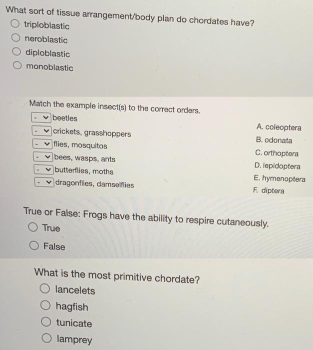 Solved What sort of tissue arrangement/body plan do | Chegg.com