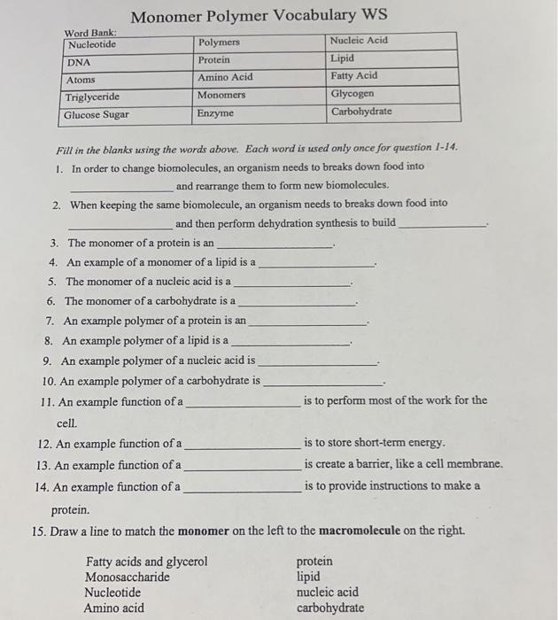 solved-monomer-polymer-vocabulary-ws-word-bank-nucleotide-chegg-com