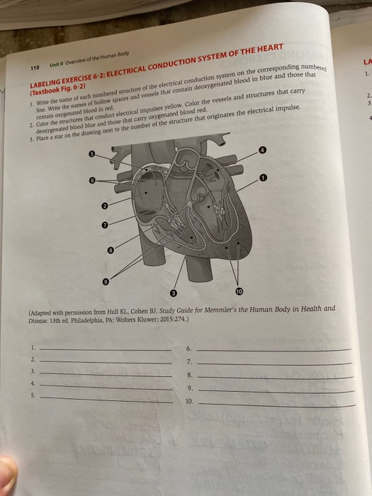 Solved 1. Write theme of each numbered structure of the | Chegg.com