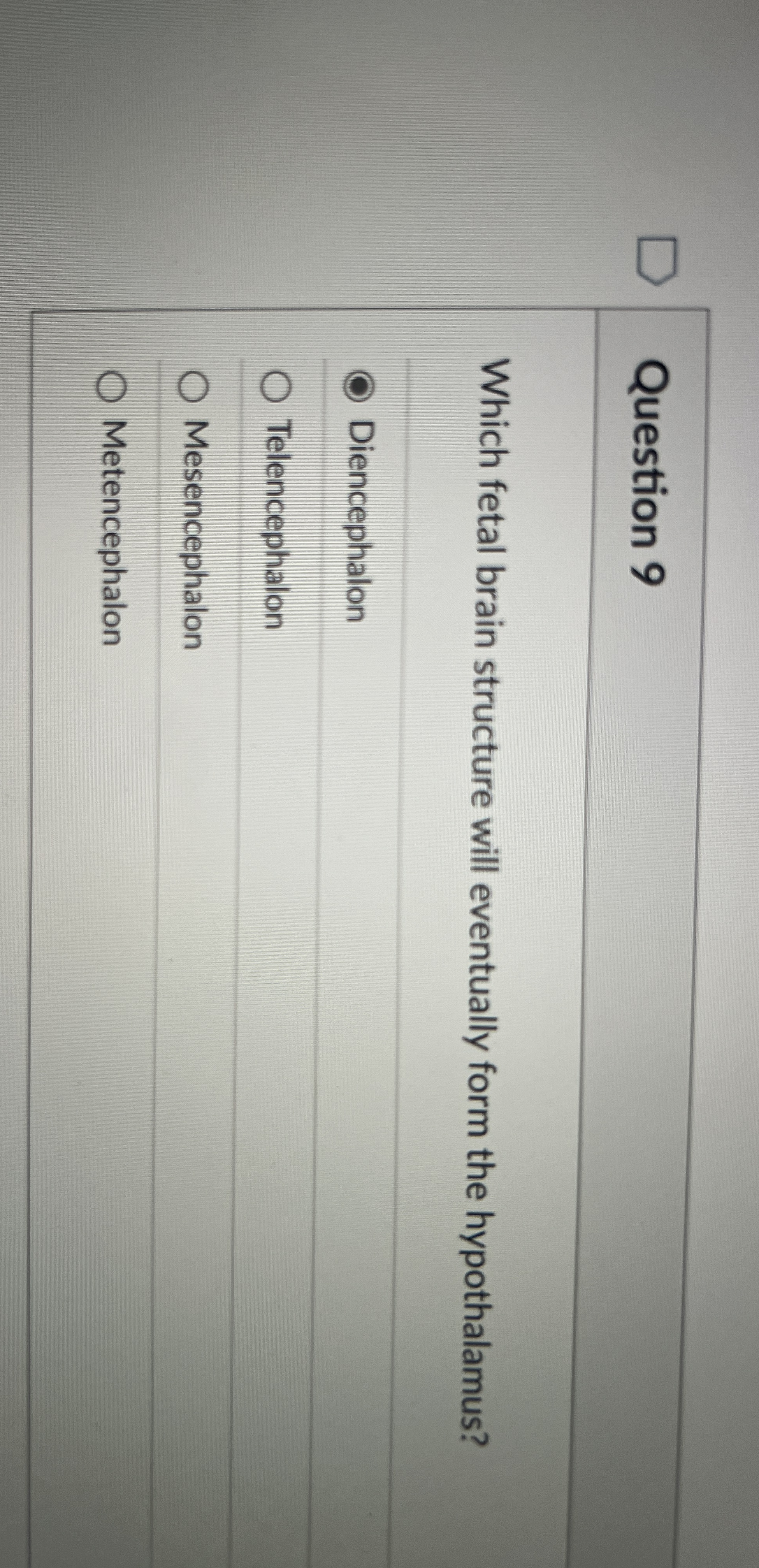 Solved Question 9Which fetal brain structure will eventually | Chegg.com