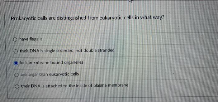 Solved Prokaryotic cells are distinguished from eukaryotic | Chegg.com