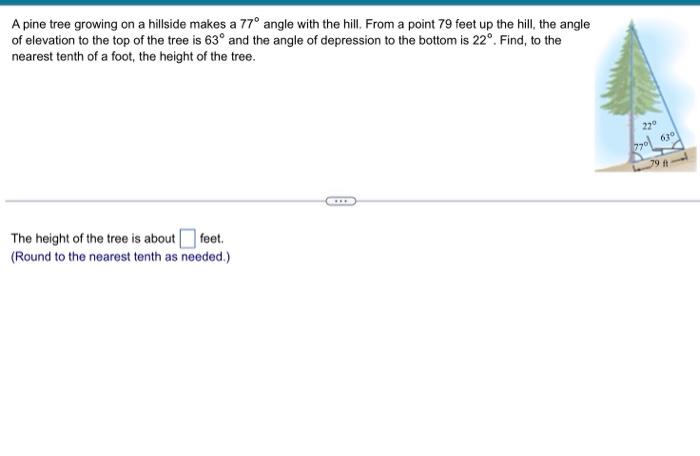 Solved A pine tree growing on a hillside makes a 77∘ angle | Chegg.com