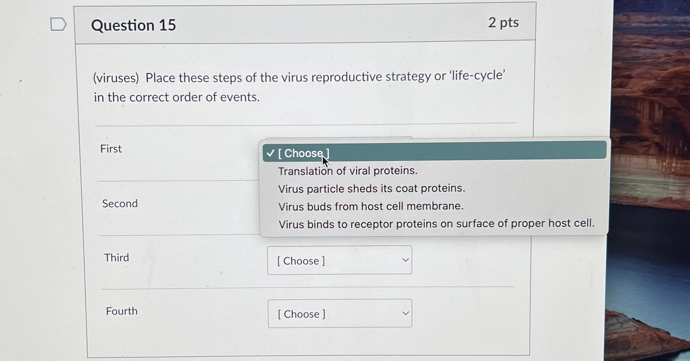 Solved Question 15(viruses) ﻿Place these steps of the virus | Chegg.com