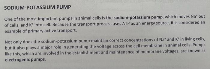 Solved SODIUM-POTASSIUM PUMP One of the most important pumps | Chegg.com