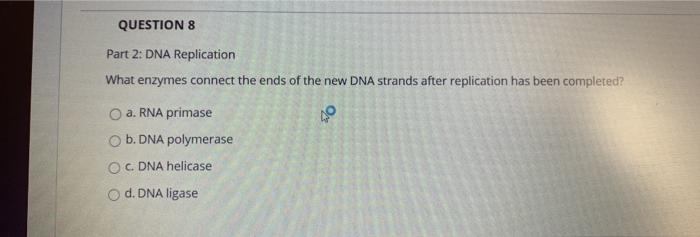Solved QUESTIONS Part 2: DNA Replication What Enzymes | Chegg.com