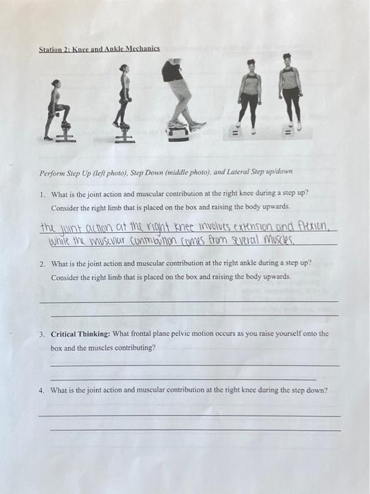 Solved Station 3: Movement Analyses Perform a movement | Chegg.com