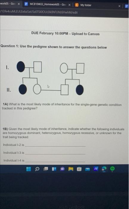 Solved Question Use The Pedigree Shown To Answer Chegg Com