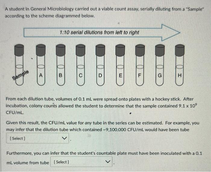 Solved A student in General Microbiology carried out a | Chegg.com