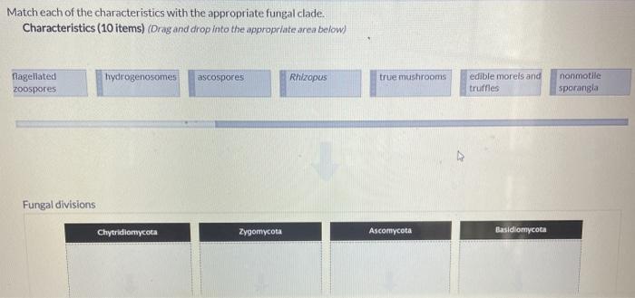 Solved Match each of the characteristics with the | Chegg.com