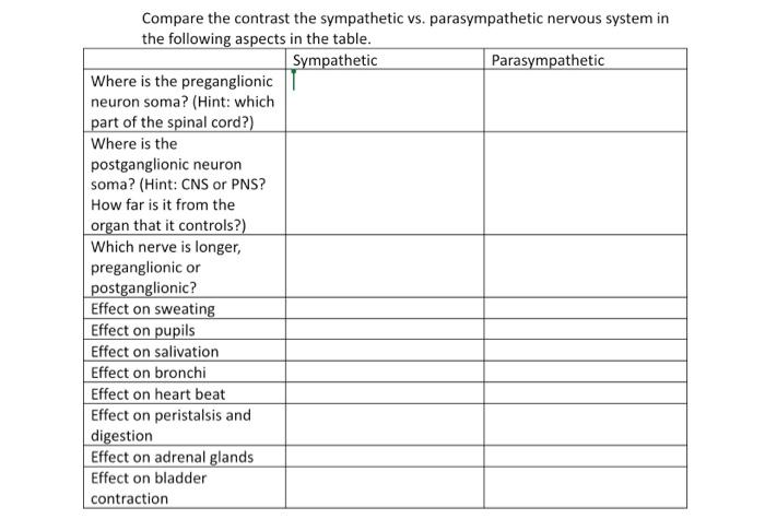 Solved Compare the contrast the sympathetic vs. | Chegg.com
