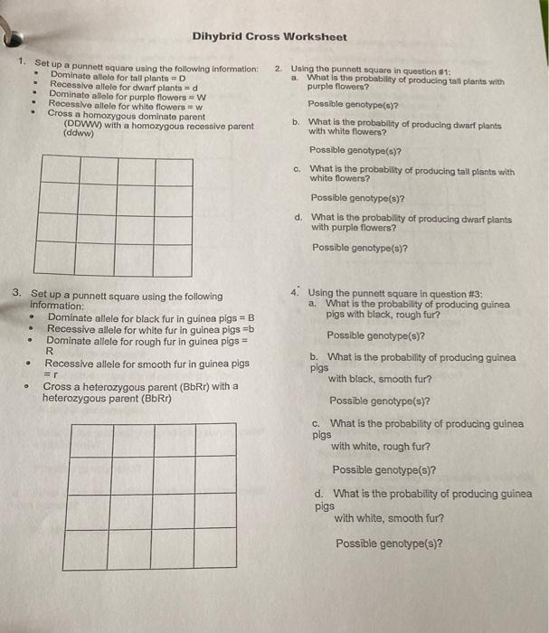 Solved Dihybrid Cross Worksheet . 1. Set up a punnett square | Chegg.com