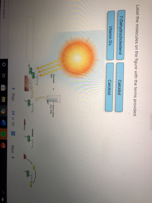 Solved Label the molecules on the figure with the terms | Chegg.com