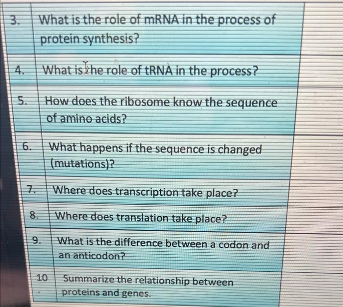 Solved What Is The Role Of Mrna In The Process Of Protein Chegg Com