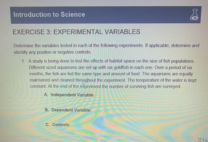 exercise 3 experimental variables