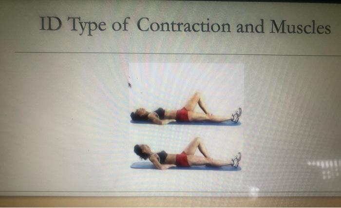 Solved ID Type of Contraction and Muscles ID Type of | Chegg.com