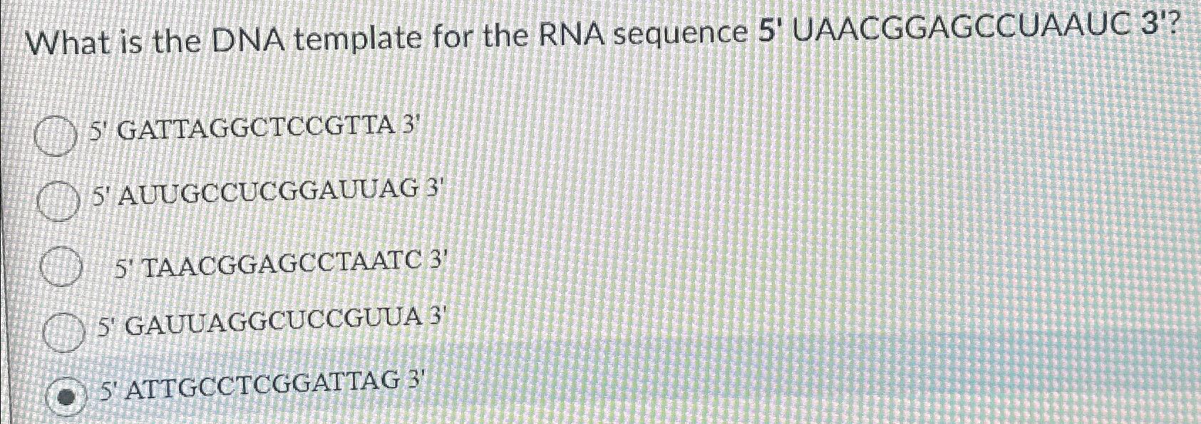 Solved What is the DNA template for the RNA sequence 5' | Chegg.com