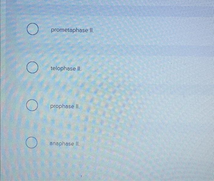 prometaphase II.
telophase II.
prophase II.
anaphase II.