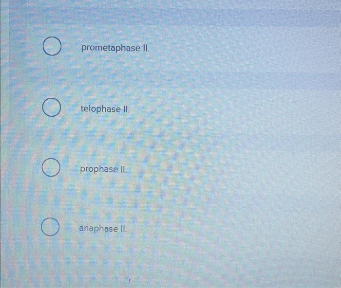 [Solved] The spindle apparatus forms during Spindle apparat