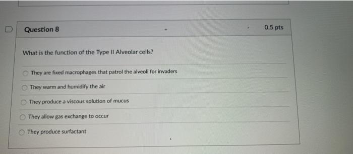 Solved Question 8 0.5 pts What is the function of the Type | Chegg.com