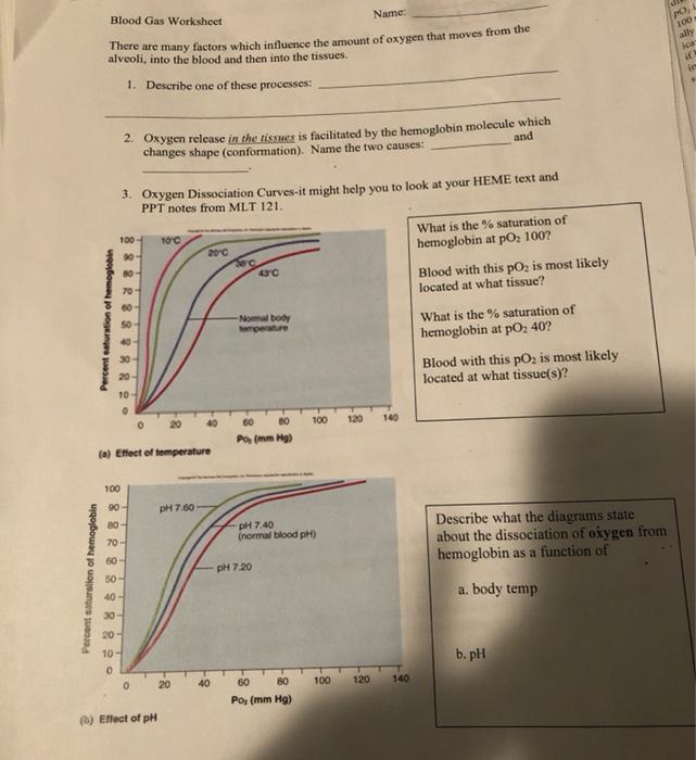 Name: PO 100 alty Blood Gas Worksheet There are many factors which influence the amount of oxygen that moves from the alveoli