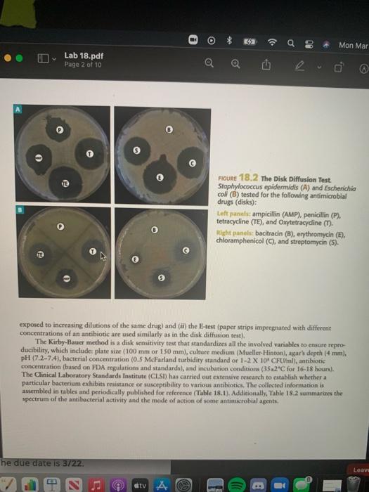 Solved 6 Incubate inverted plates for 1824 hours at 35°C. B