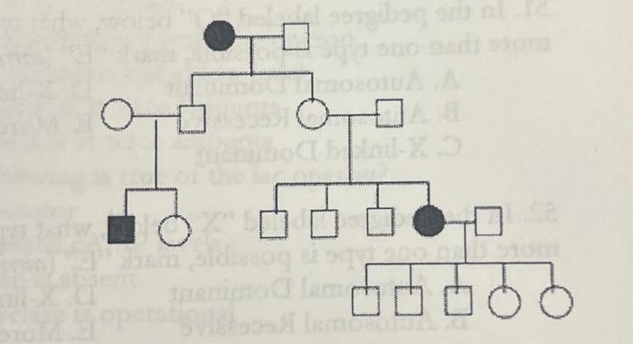 Solved Is the pedigree autosomal recessive, X-linked | Chegg.com