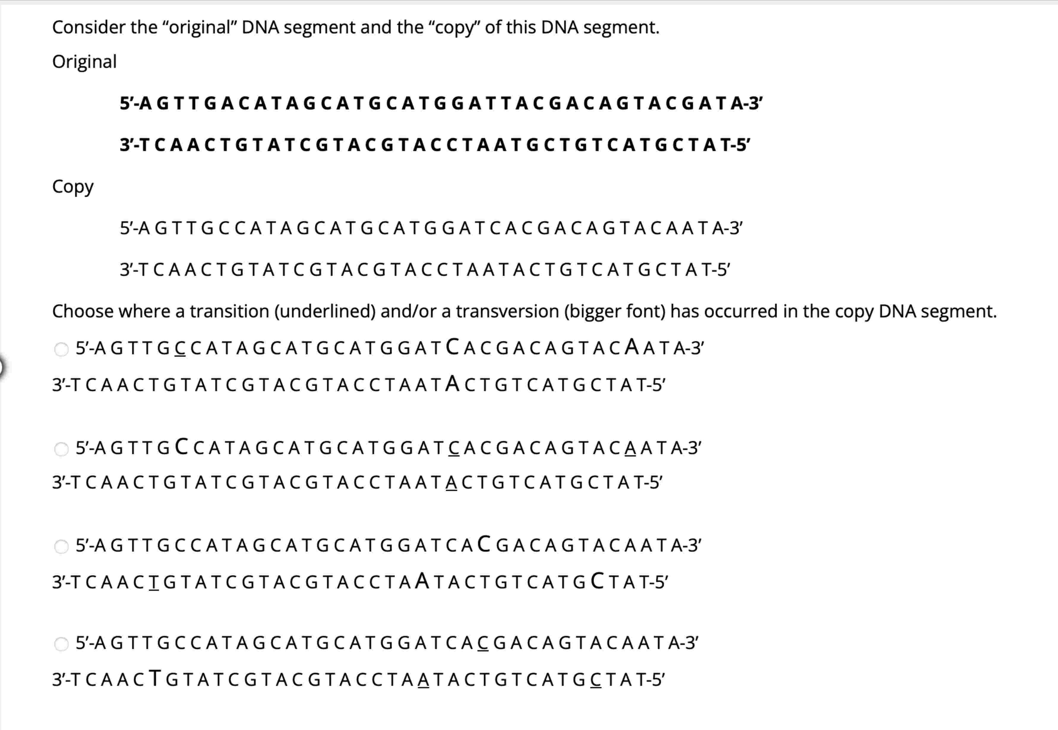 Solved Consider the "original" DNA segment and the "copy" of | Chegg.com