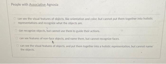 Solved People with Associative Agnosia can see the visual | Chegg.com