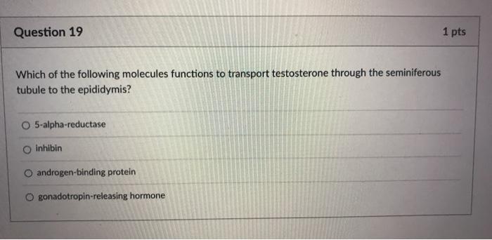 Solved Question 19 1 pts Which of the following molecules | Chegg.com