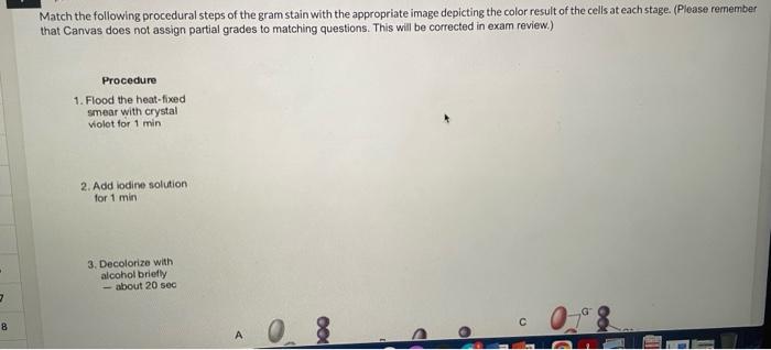 Solved Match the following procedural steps of the gram | Chegg.com