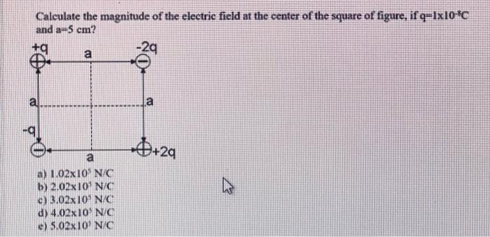 Solved Calculate the magnitude of the electric field at the | Chegg.com
