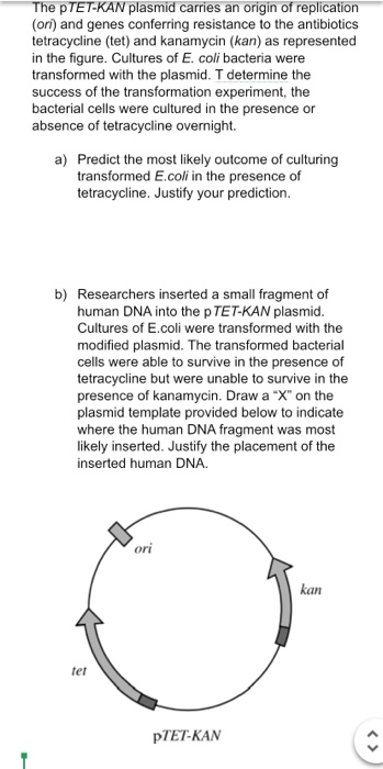 Solved Ptet Kan The Ptet Kan Plasmid Carries An Origin Of Chegg Com