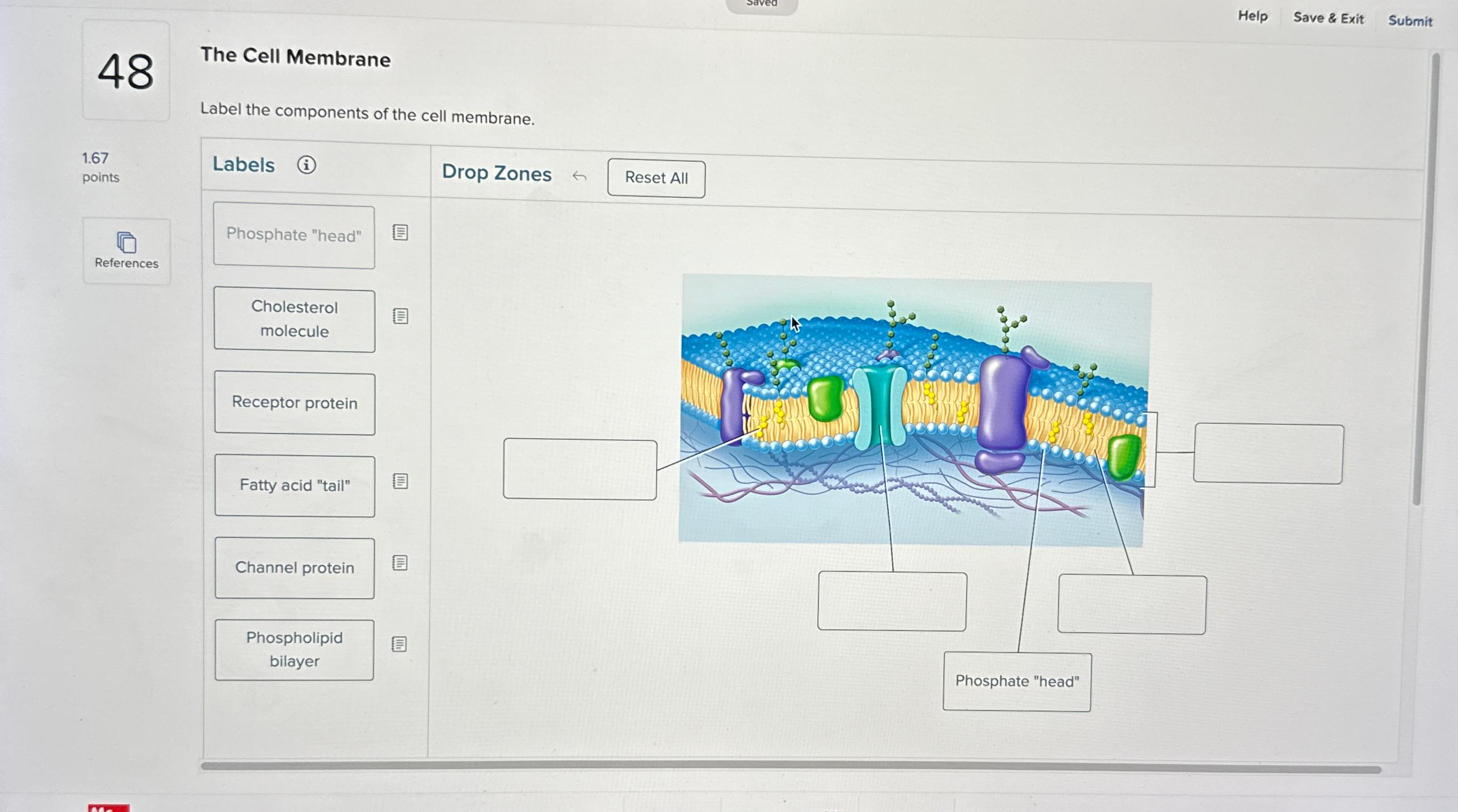 Solved HelpSave & ExitSubmit48The Cell MembraneLabel the | Chegg.com