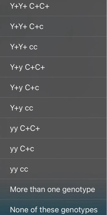 Solved Y+Y+C+C+Y+Y+C+cY+Y+ccY+yC+C+Y+yC+cY+ycc yy C+C+ yy | Chegg.com