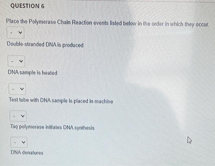 Solved QUESTION 6 Place the Polymerase Chain Reaction events