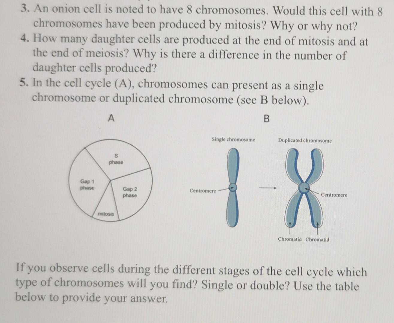 Solved 3. An onion cell is noted to have 8 chromosomes.
