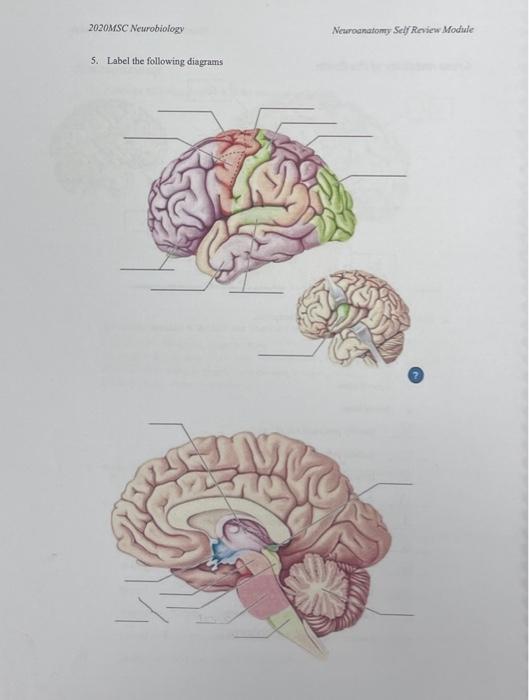5. Label the following diagrams | Chegg.com