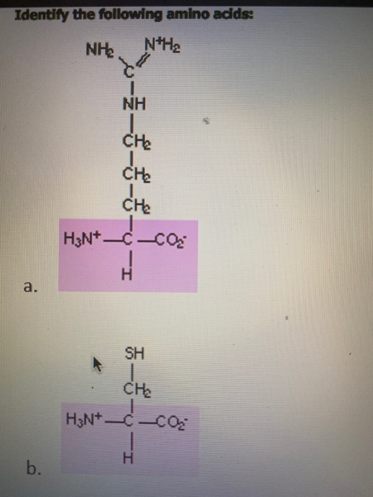 Solved Identify the following amino acids: NH%. NHg NH2 NH | Chegg.com
