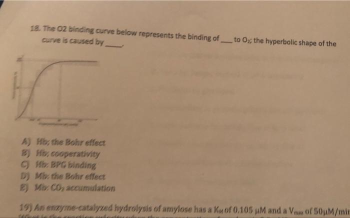 18. The 02 binding curve below represents the binding of curve is caused by to \( \mathrm{O}_{2} \); the hyperbolic shape of