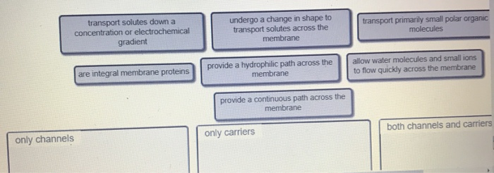 1. Orange dye moves independently of purple dye. 2. | Chegg.com