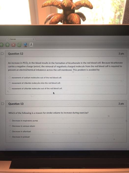 Solved W Canvas А D Question 12 2 pts An increase in PCO, in | Chegg.com