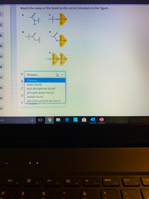 Solved Match the name of the bond to the correct structure | Chegg.com