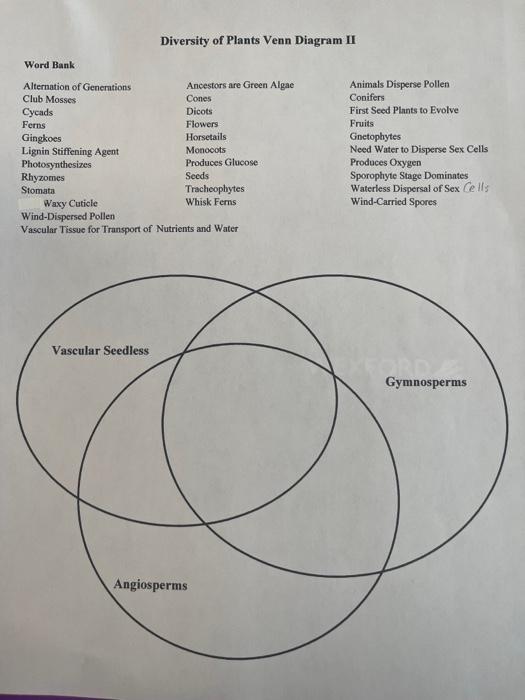 Solved Diversity of Plants Venn Diagram II | Chegg.com