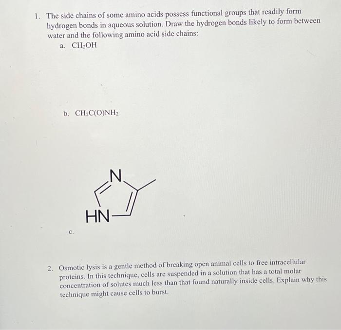 Solved 1. The side chains of some amino acids possess | Chegg.com