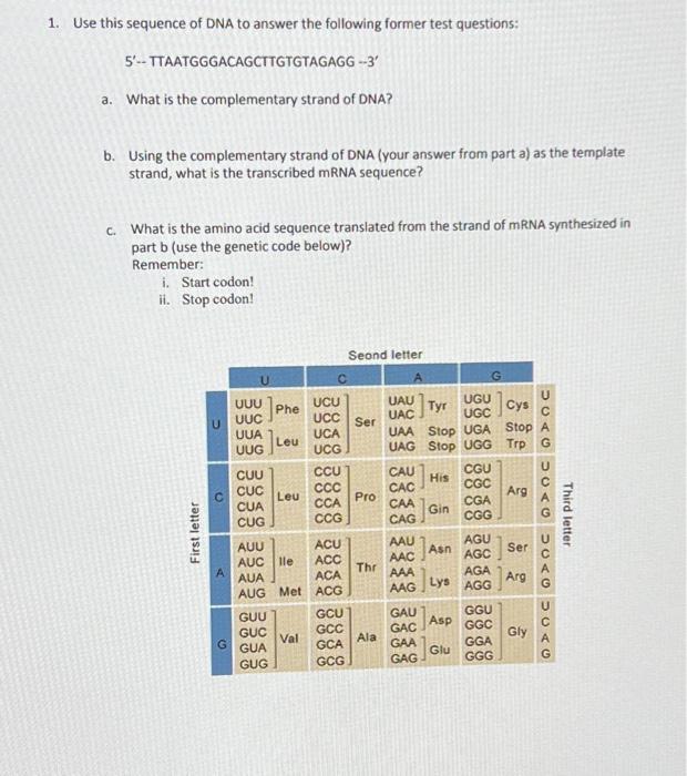 Solved 1. Use this sequence of DNA to answer the following | Chegg.com